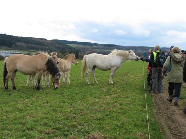 randonnée sportive avec joëlettes, Bure, 2012